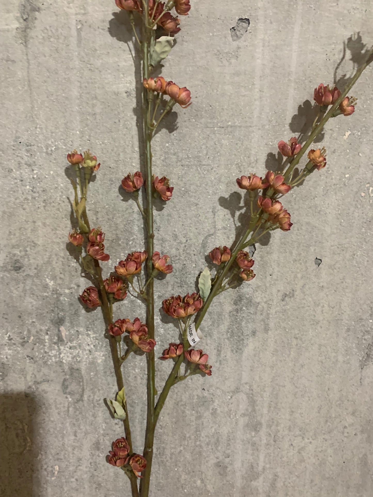 Dried Baby Plum Blossom MAUVE