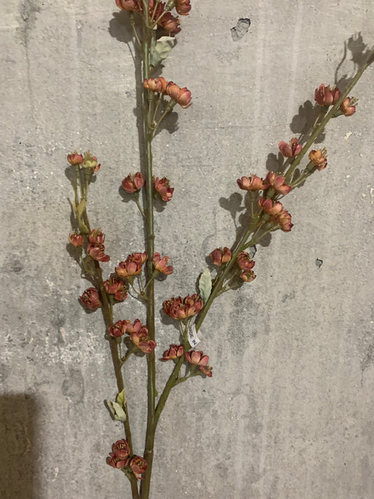 Dried Baby Plum Blossom MAUVE