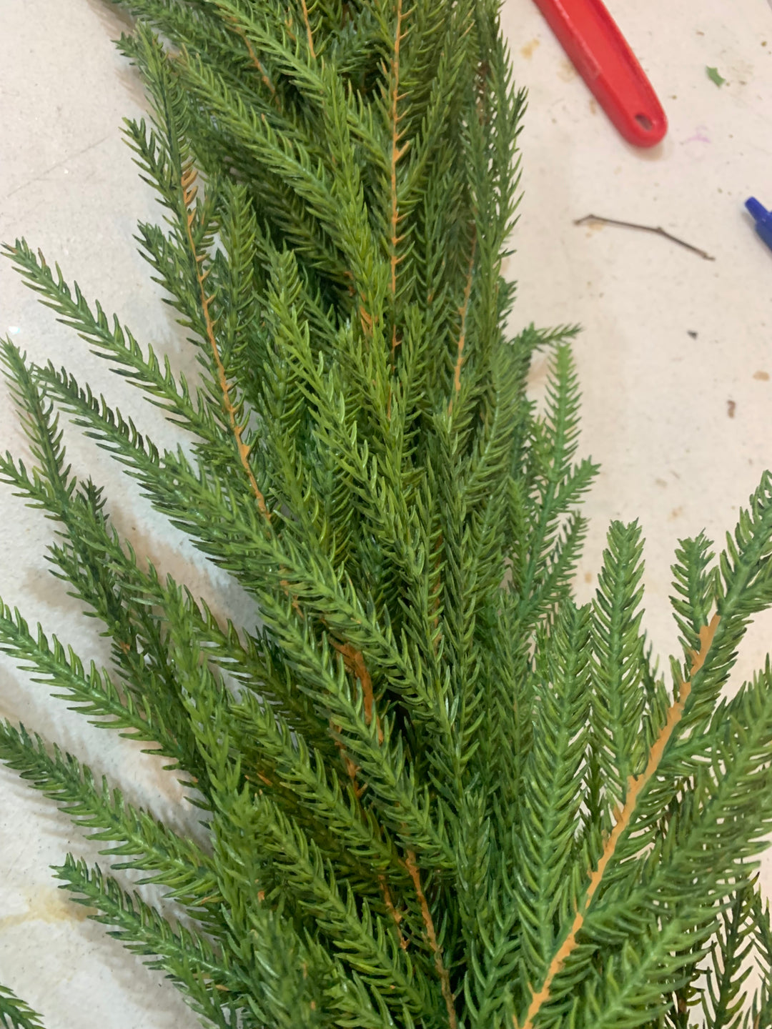 6FT DELUXE Austrian Pine Garland