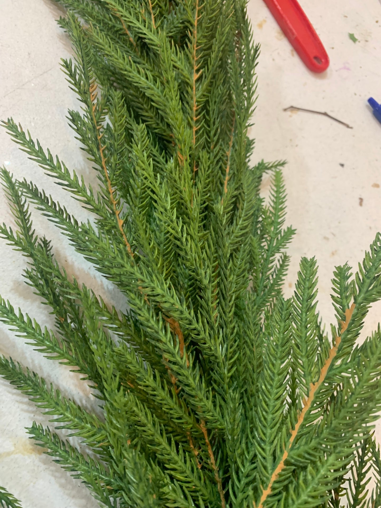 6FT DELUXE Austrian Pine Garland