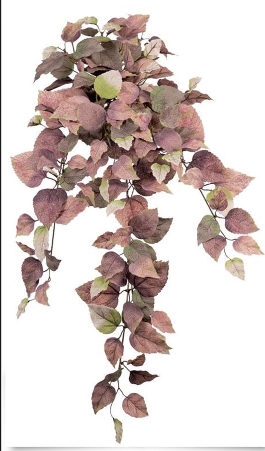 33in Shoeblack Plant Vine x7 DUSTYMAUVE