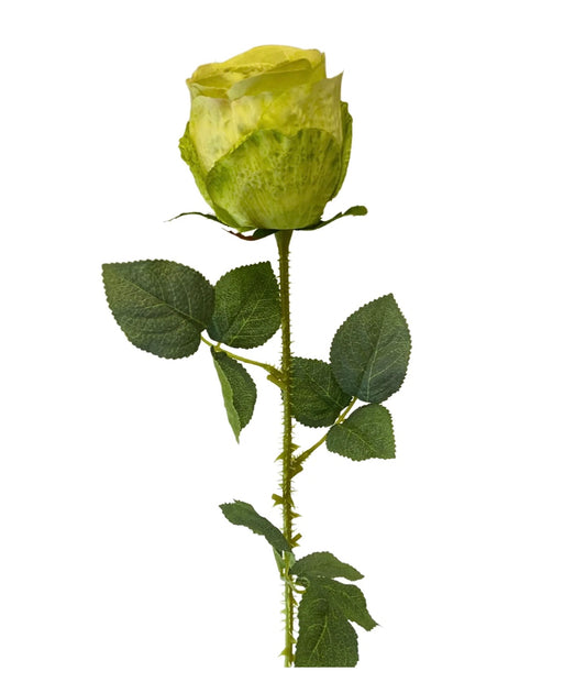 27in Garden Rose Stem GREEN