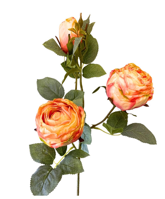 25in Coral/Yellow Garden Rose x3