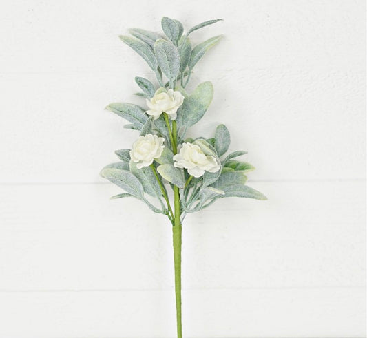 16in Lambs Ear & CREAM Ranunculus