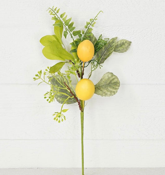 18in Lemon w/Mix Greens