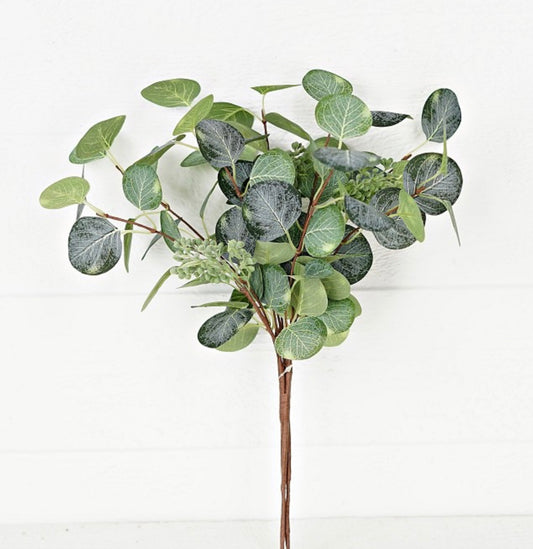 16in Silver Dollar Eucalyptus & Seed Bundle