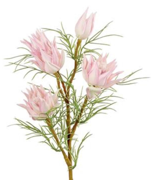 23in Wild Protea Blooms Spray PINK