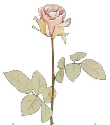26in Holland Dried Rose PINK