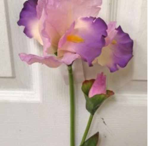 31in Iris Spray PINK/PURPLE