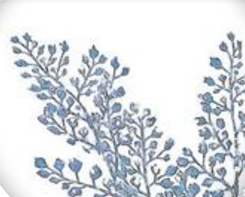 30in Glittered Maidenhair Fern BLUE/SILVER