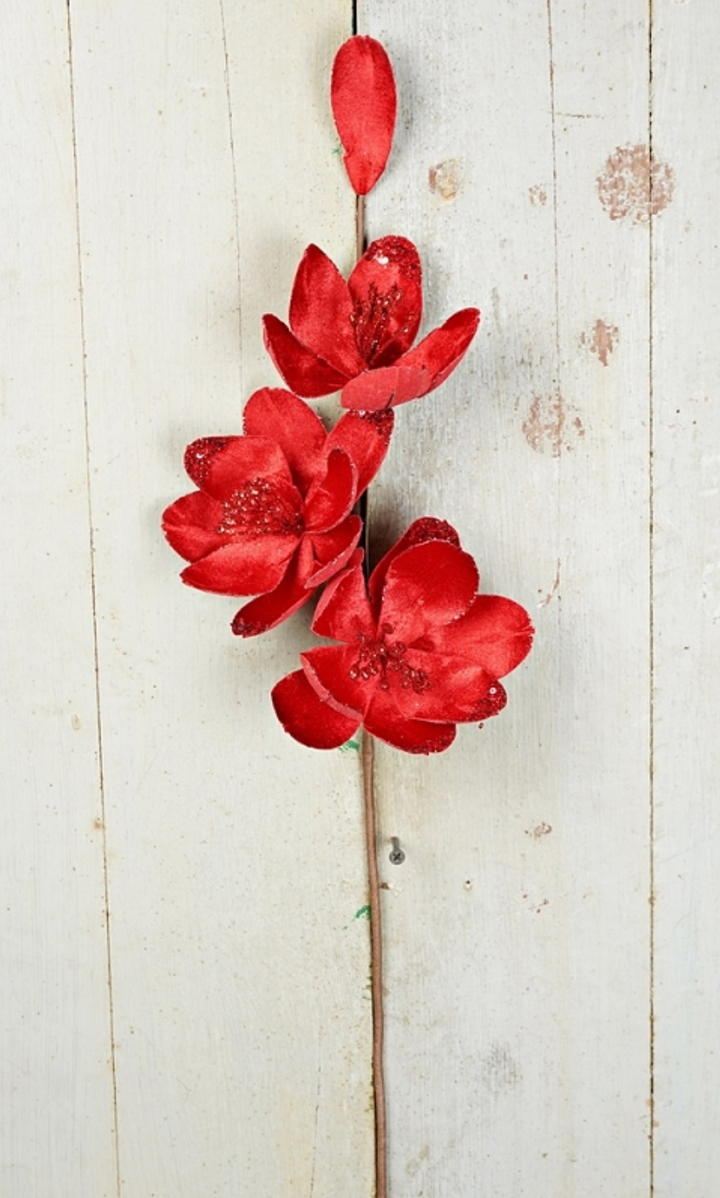 24in Velvet American Magnolia x3 CREAM