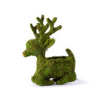 16in Moss Deer