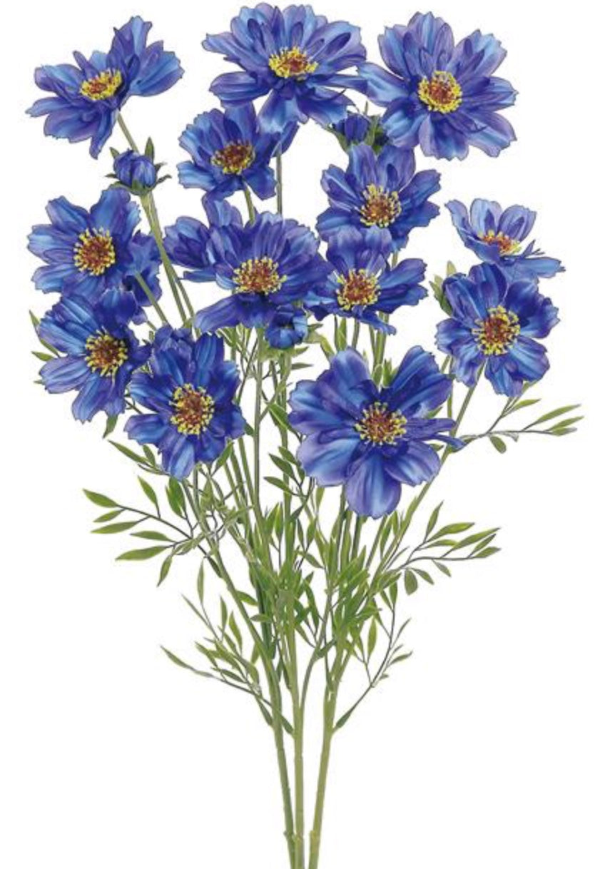 23in Cosmos Bush x3 BLUE