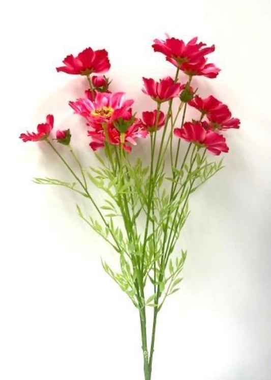 23in Cosmos Bush x3 FUCHSIA