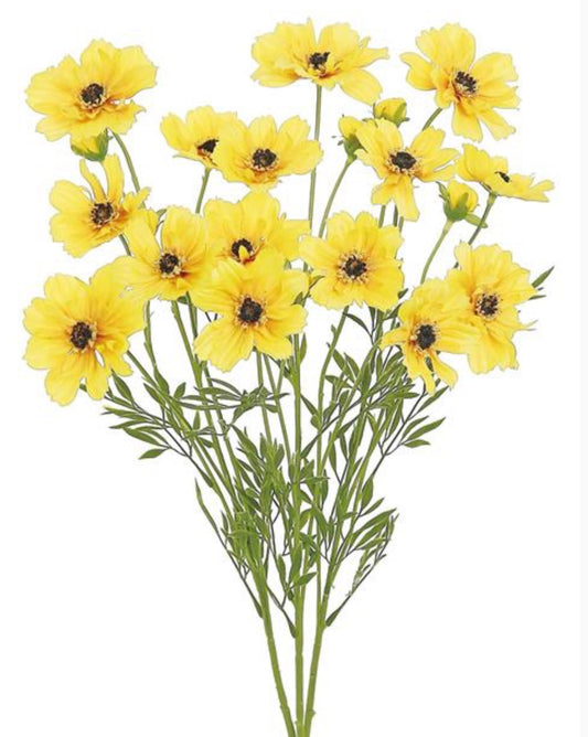 23in Cosmos Bush x3 YELLOW