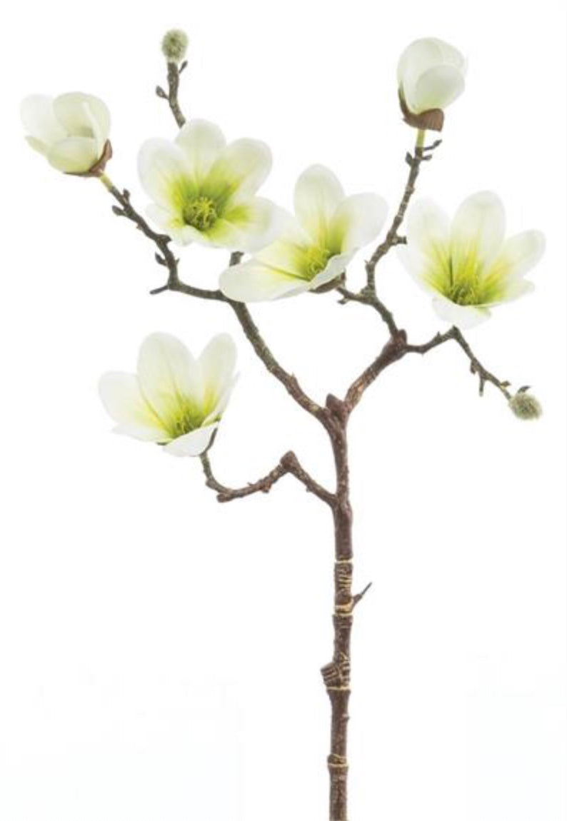 20in Saucer Magnolia CREAM/GREEN