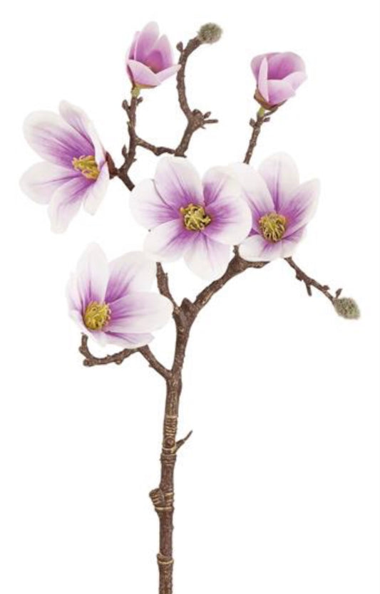 20in Saucer Magnolia CREAM/PINK