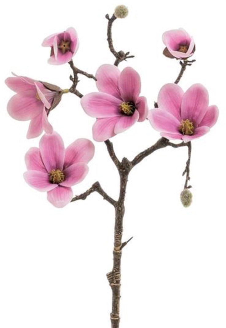 20in Saucer Magnolia DARK PINK