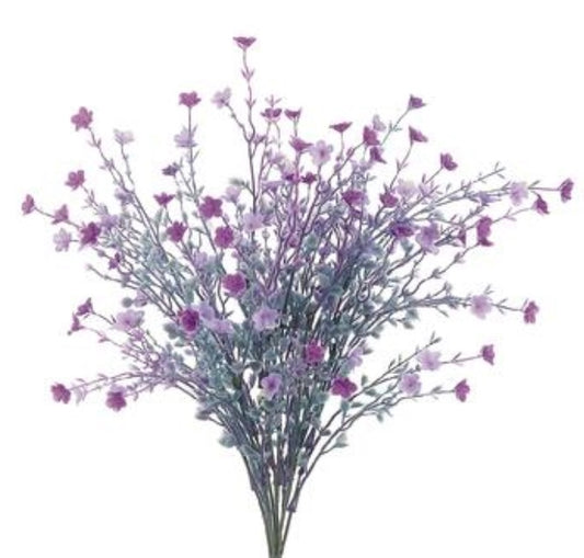 19in Mini Star Bush x10 PURPLE/LAV Brian's Favorite!