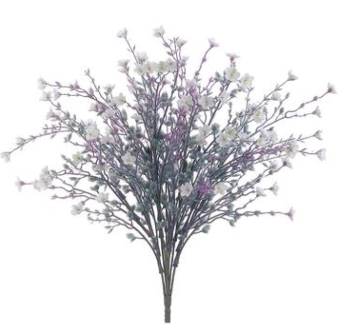 19in Mini Star Bush x10 WHITE/LAV Brian's Favorite!