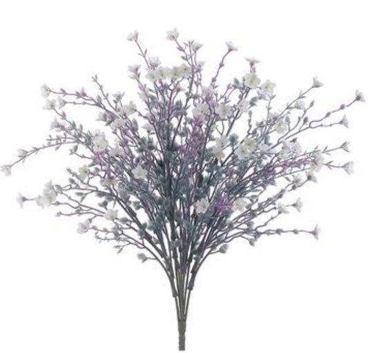 19in Mini Star Bush x10 WHITE/LAV Brian's Favorite!