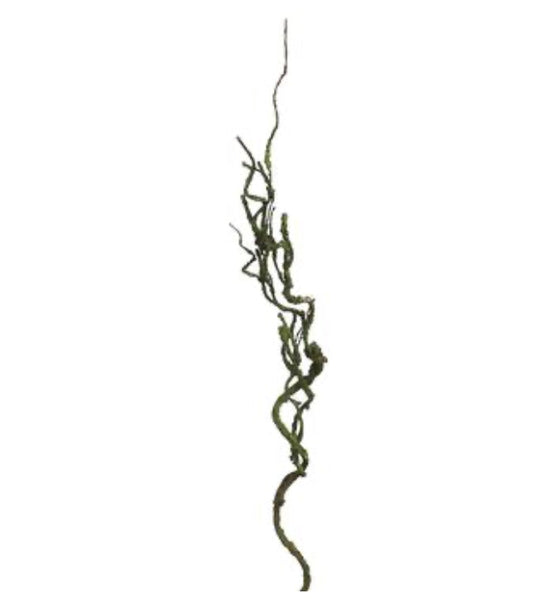 26in Brown Curly Twig Branch www
