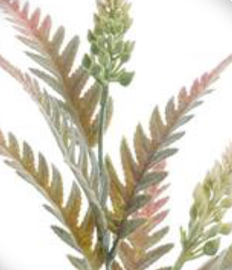 23in Long Beech Fern MAUVE/GREEN
