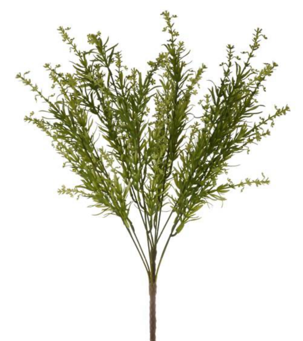 23in Blooming Rosemary x10