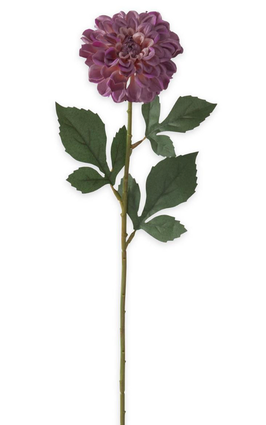 25in Purple Dahlia