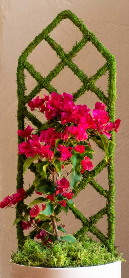31in Moss Diamond Plant Trellis aaa (30% off)