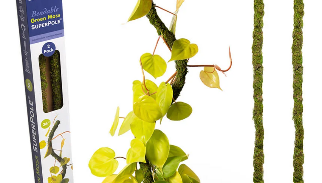 36in Bendy Moss Pole (TWO PACK)
