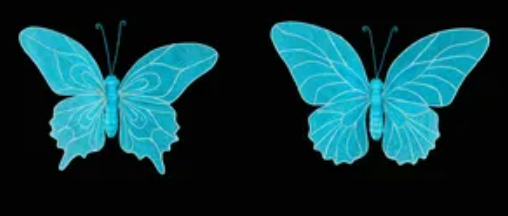 ONE 15inx10in LtBlue Butterfly