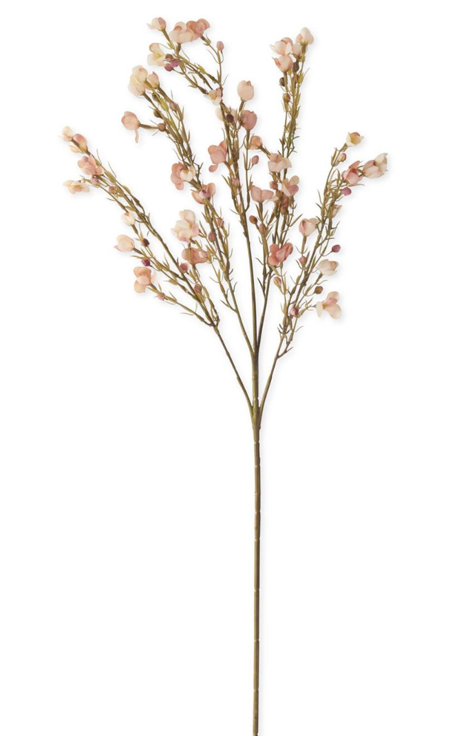 35in Pink Chamelaucium Waxflower Spray