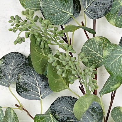 32in Seeded Silver Dollar Euc Leaves