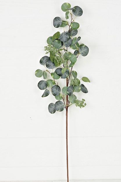32in Seeded Silver Dollar Euc Leaves