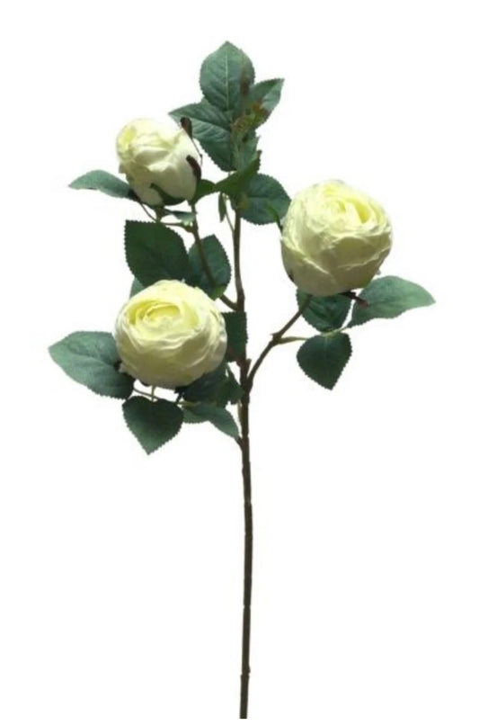 25in Garden Rose x3 CREAM