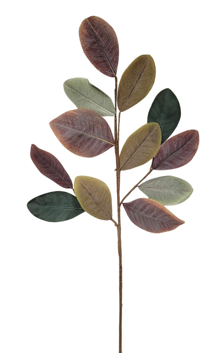 28in Cypress Hill Magnolia Spray