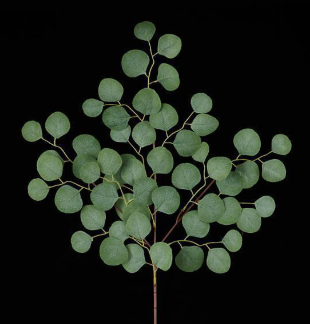 26in Eucalyptus Spray