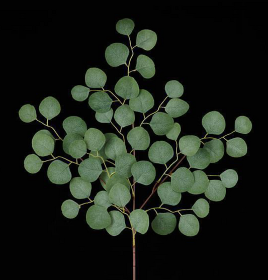 26in Eucalyptus Spray