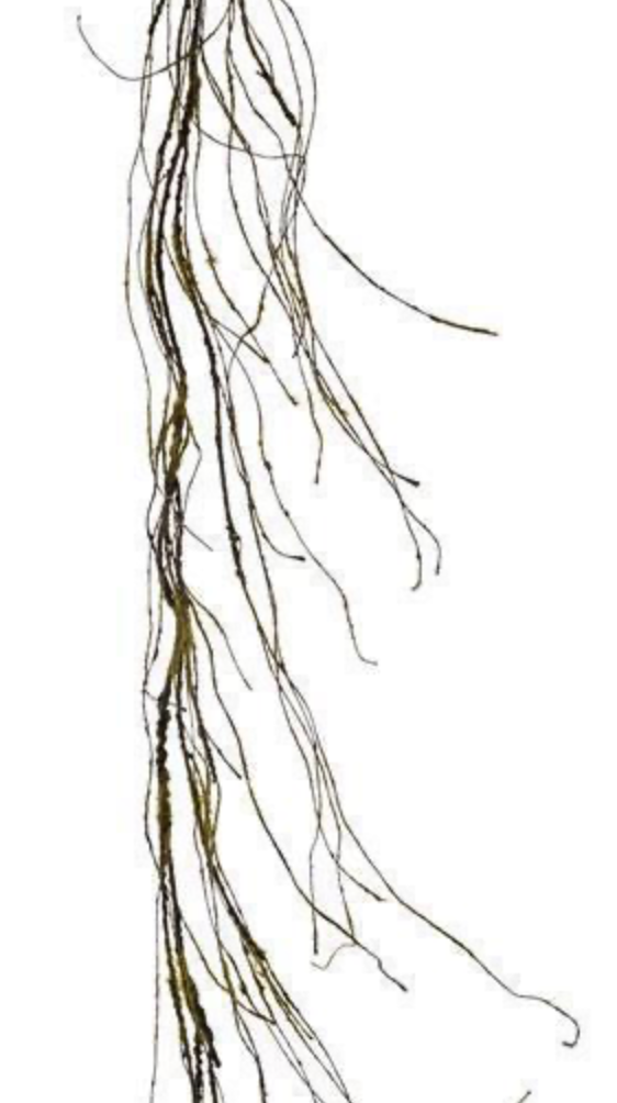 6ft Mossy Twig Garland
