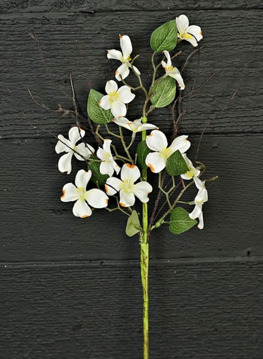 16in Cream Dogwood w/Twigs