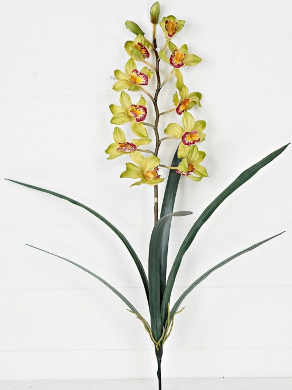 32in Cymbidium Orchid GR/YE