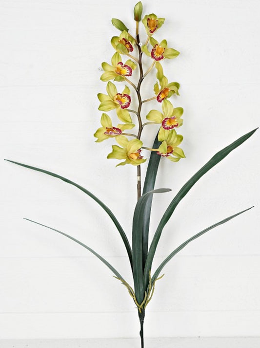 32in Cymbidium Orchid GR/YE