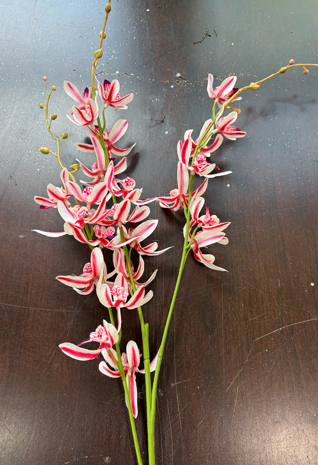 EVENT Peppermint Orchid