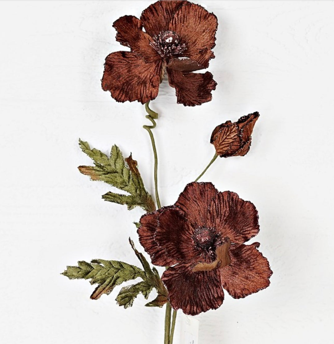 28in Velvet Poppy CHOCOLATE