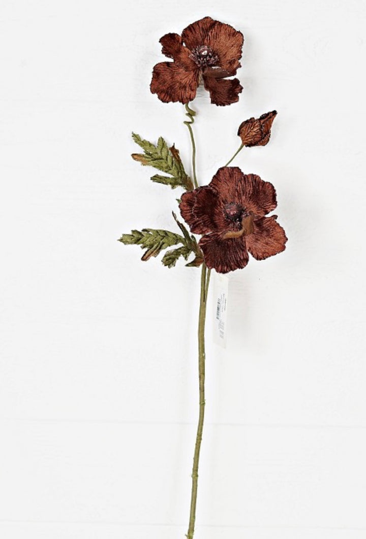 28in Velvet Poppy CHOCOLATE