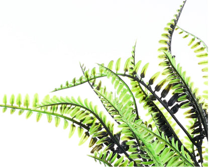 16in Halloween Fern BLACK/LIME