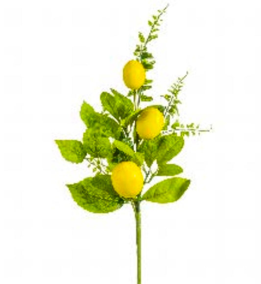 18in Lemon & Fern