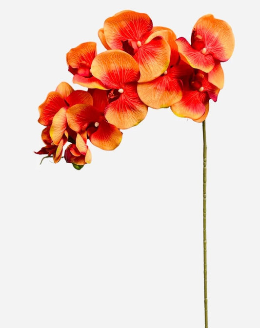 36in Orchid ORANGE
