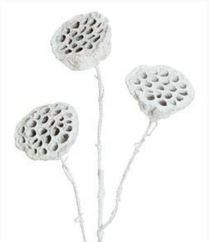37in Frosted Lotus Pod x3 SILVER